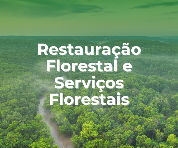Restauração Florestal e Serviços Florestais​